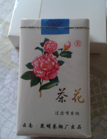 10元茶花香烟批发【7元一盒的茶花香烟在哪里能买到】